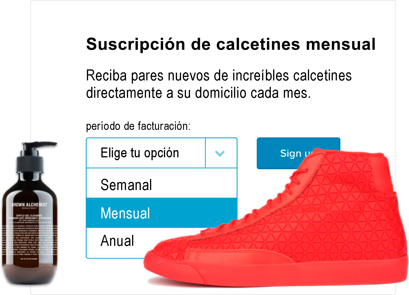 suscripcion_ecommerce_besocialstudio_ES